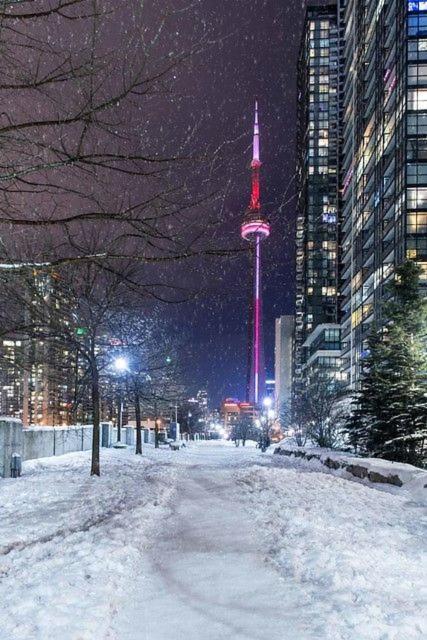 Large 2 Bedrooms Besides Cn Tower Торонто Екстер'єр фото